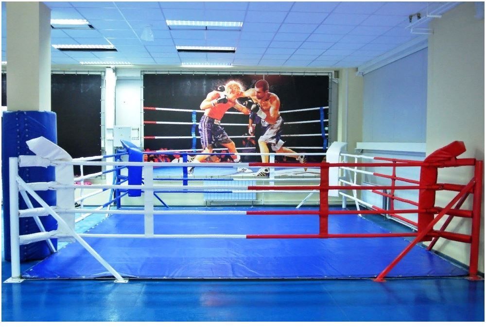 Фотографии Ринги напольные на упорах или растяжках