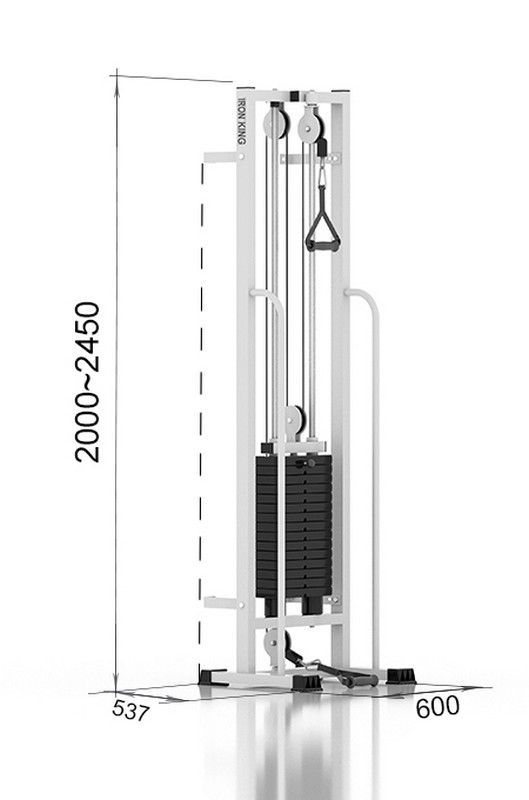 Блочная стойка Iron King IK 31 (KINEO 31) Оптимум
