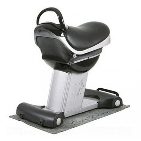 Фото Иппотренажер Takasima S-Rider SKY 007