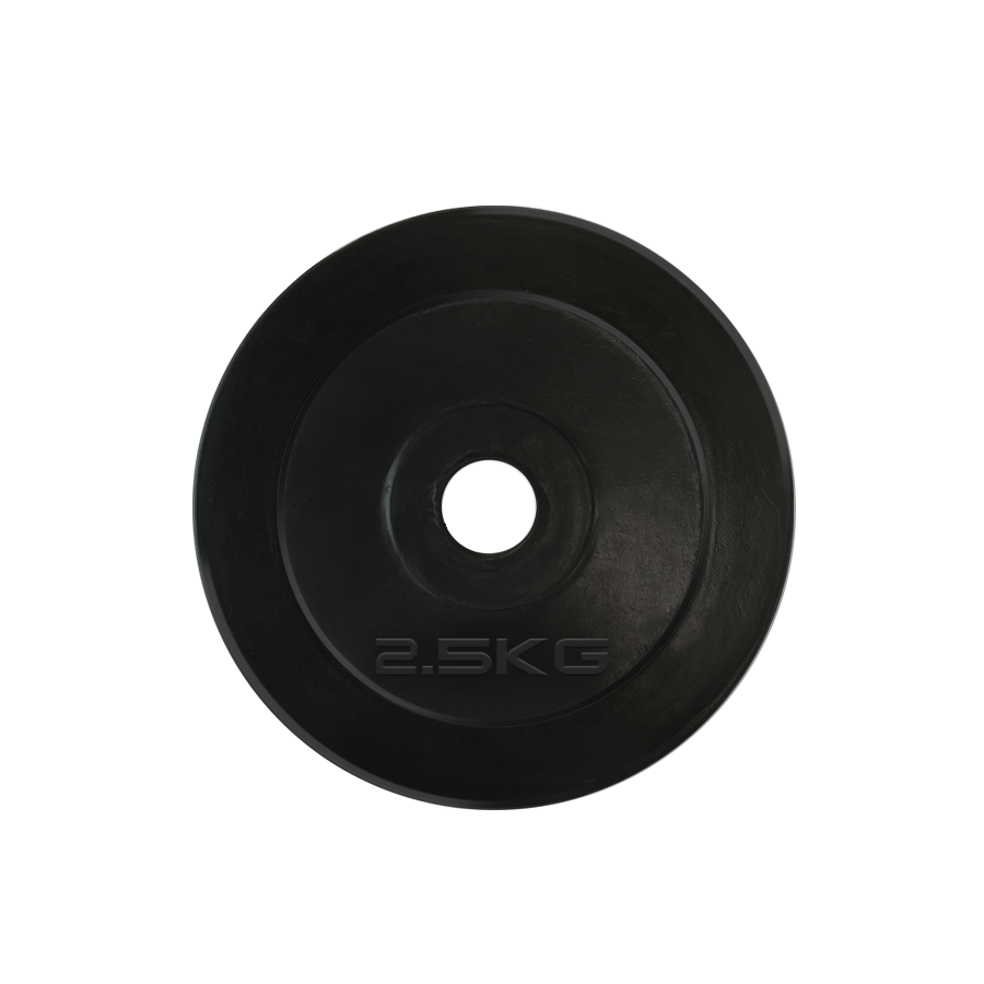 Фото Диск обрезиненный UNIX Fit 2.5 кг,  25 мм