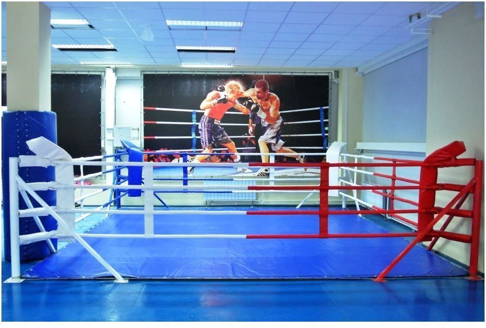 Фото Ринги напольные на упорах или растяжках