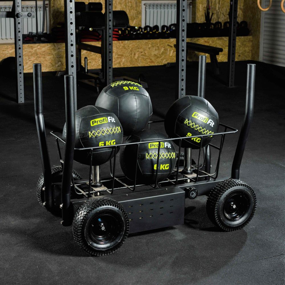 Сани-тележка для функционального тренинга ТАНГЕН