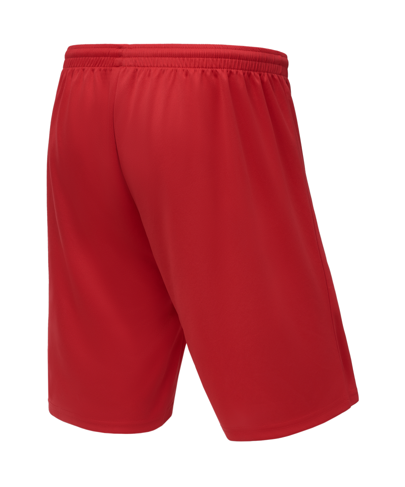 Фотографии Шорты баскетбольные JOGEL CAMP Basic, красный