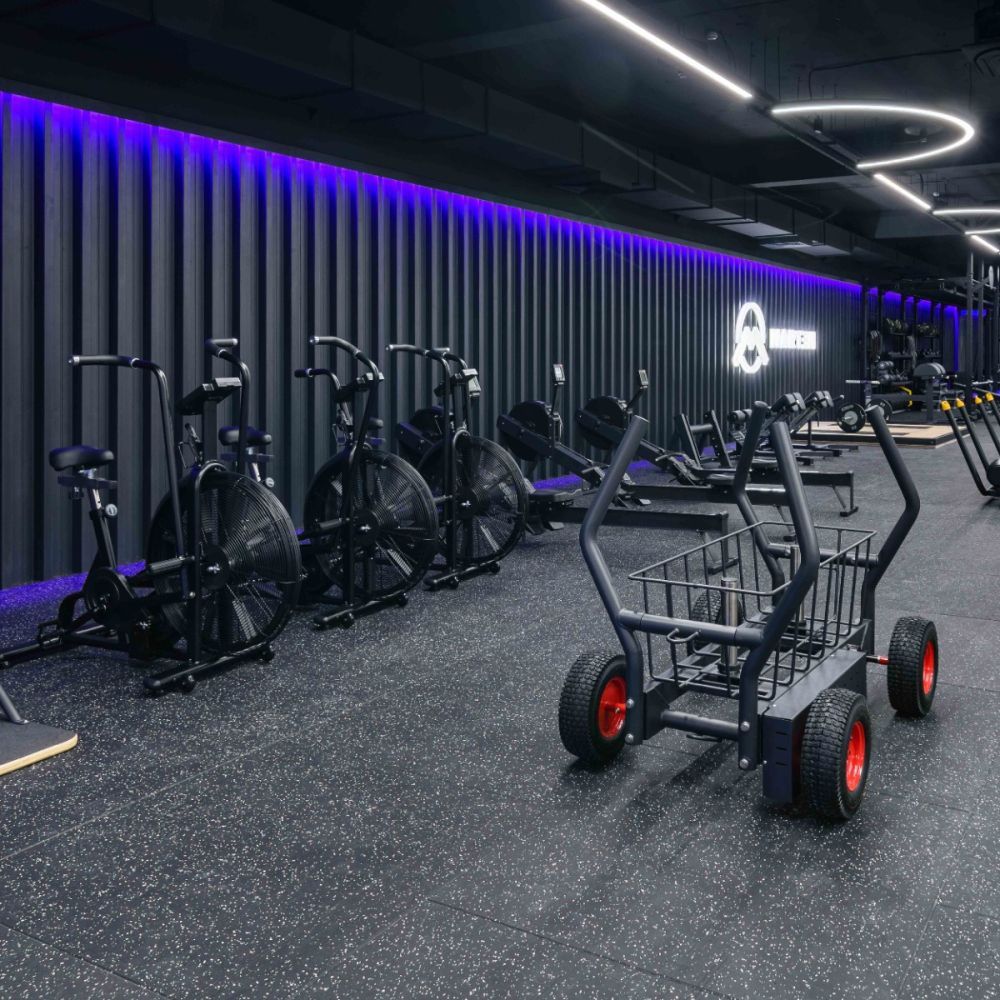 Сани-тележка для функционального тренинга ТАНГЕН