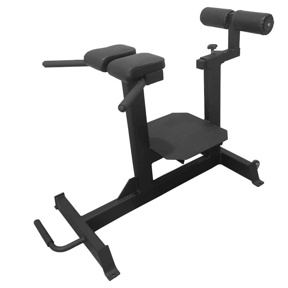 Фото Гиперэкстензия горизонтальная BRONZE GYM PARTNER AL-920