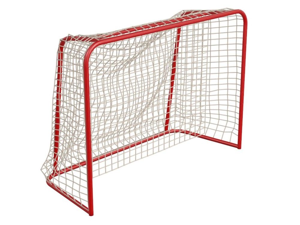 Фото Ворота флорбольные 1,6х1,15 м  Pioner A13501