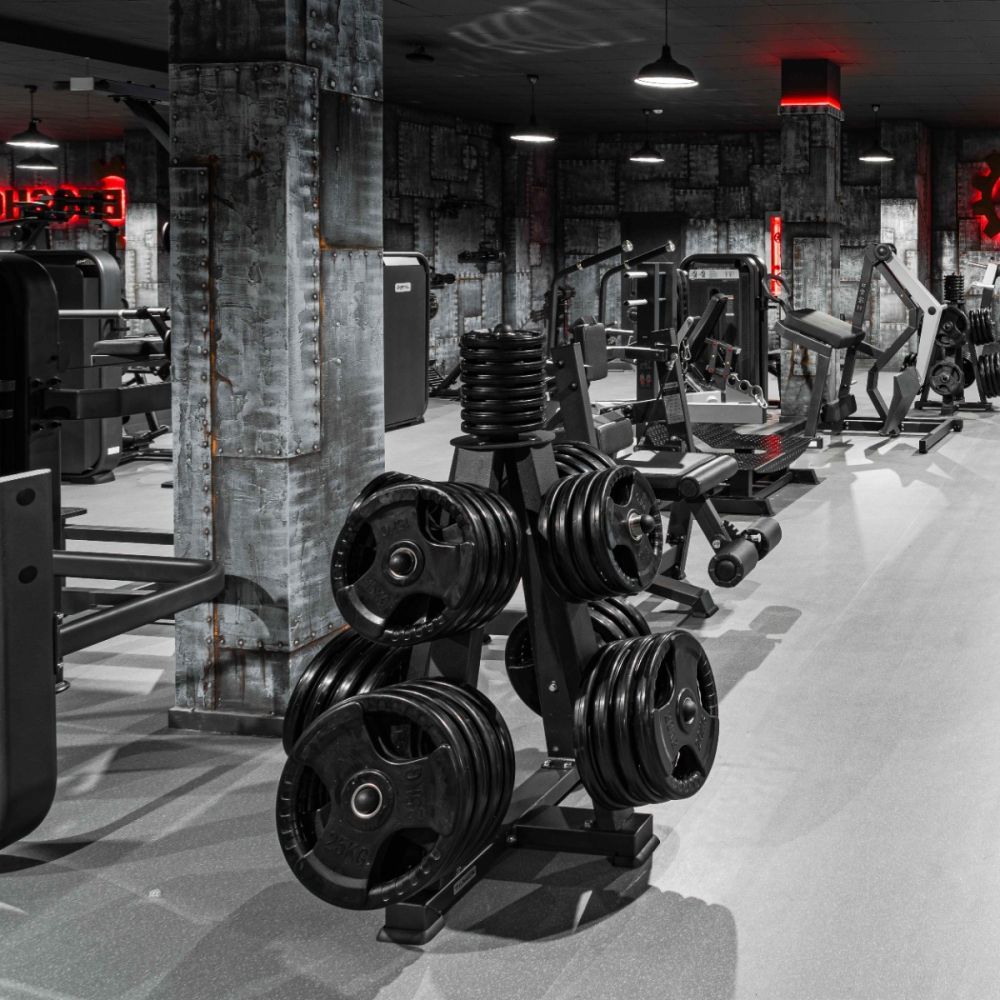 Диск обрезиненный (три хвата, черный) D51 мм PROFI-FIT  2,5 кг