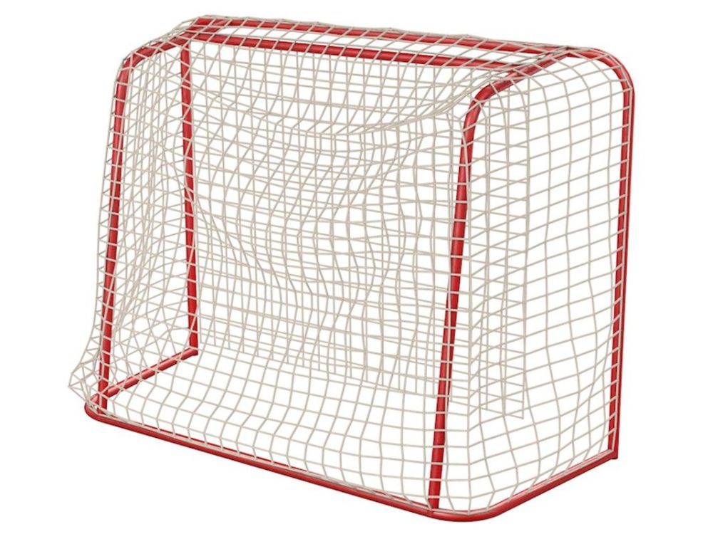 Фотографии Ворота флорбольные 1,6х1,15 м  Pioner A13501