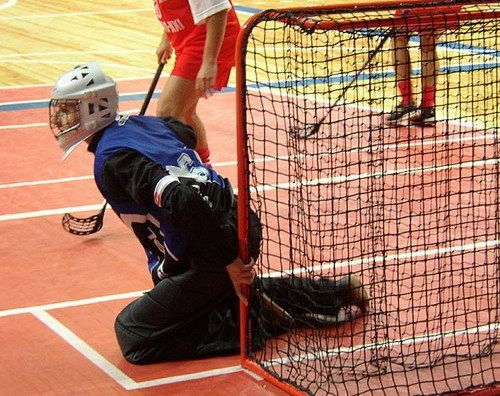 Фотографии Сетка для флорбольных воротная, d=2.2мм  Pioner A12574