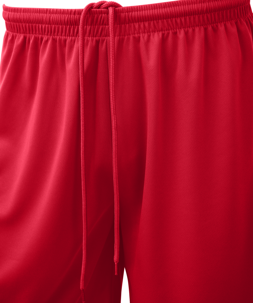 Фотографии Шорты баскетбольные JOGEL CAMP Basic, красный