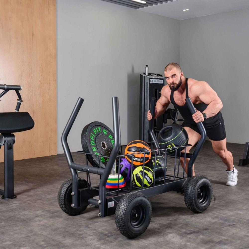 Сани-тележка для функционального тренинга ТАНГЕН