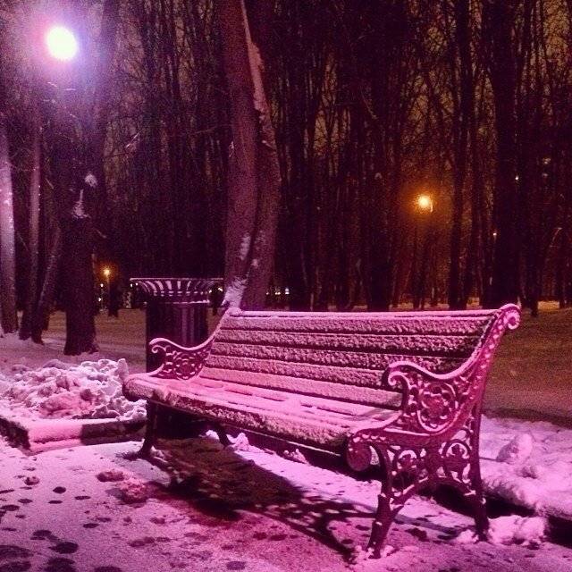 Фотографии Скамейка чугунная «Ажурная»