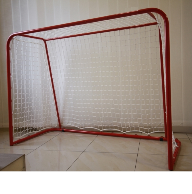 Фото Ворота для флорбола матчевые 115х160см