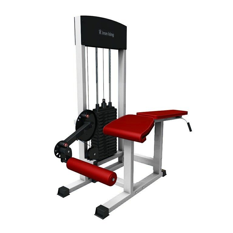 Сгибание ног лежа Iron King IK 10