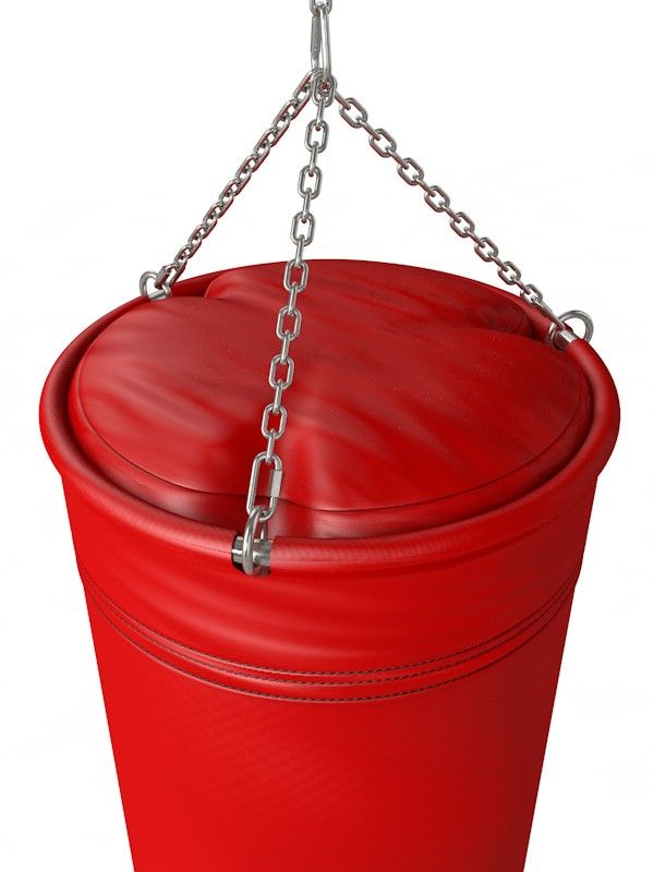 Фотографии Боксерский мешок тент, 40х120 см, 45-55 кг  Pioner A13516