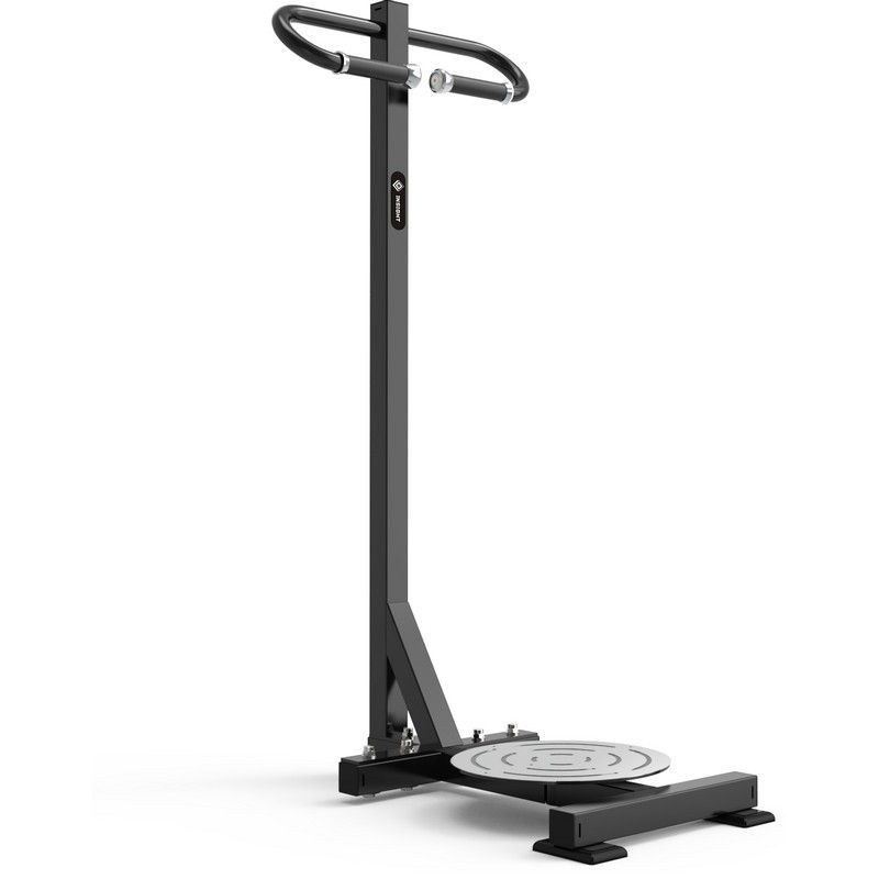 Фото Торс-машина стоя Insight Fitness TM94