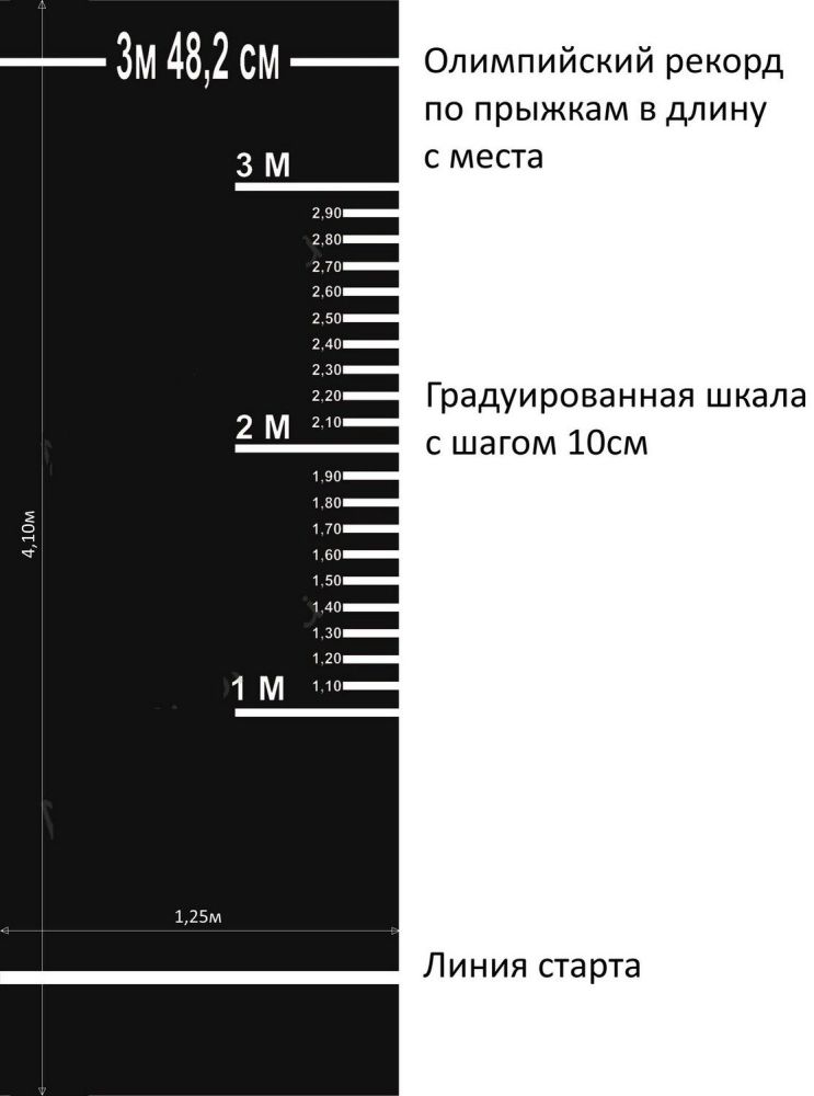Фотографии Дорожка (разметка) для прыжков в длину с места, для сдачи норм ГТО  Pioner A12498
