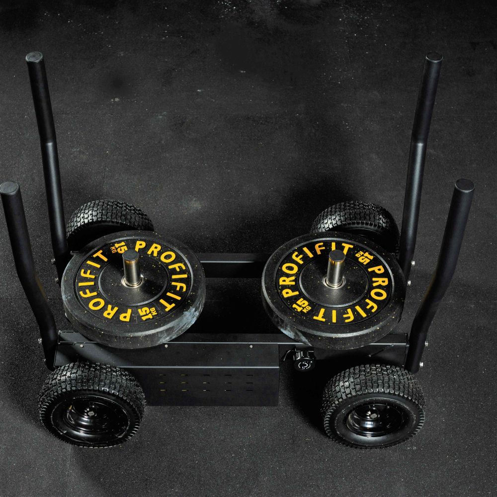 Сани-тележка для функционального тренинга ТАНГЕН