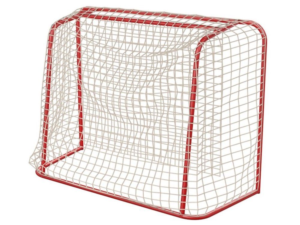 Фото Сетка для флорбола  шт Pioner A13818