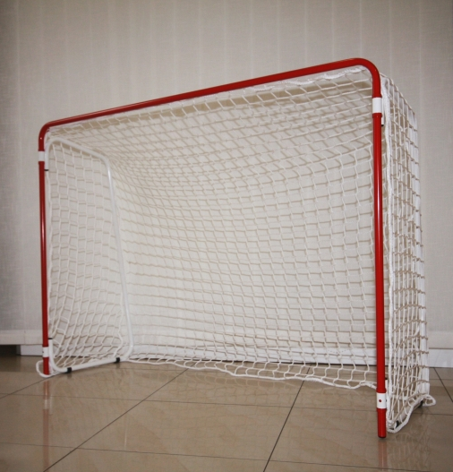 Фото Ворота для флорбола клубные 105х140 см.