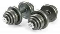 Набор металлических гантелей 2x25 кг Atlas Sport