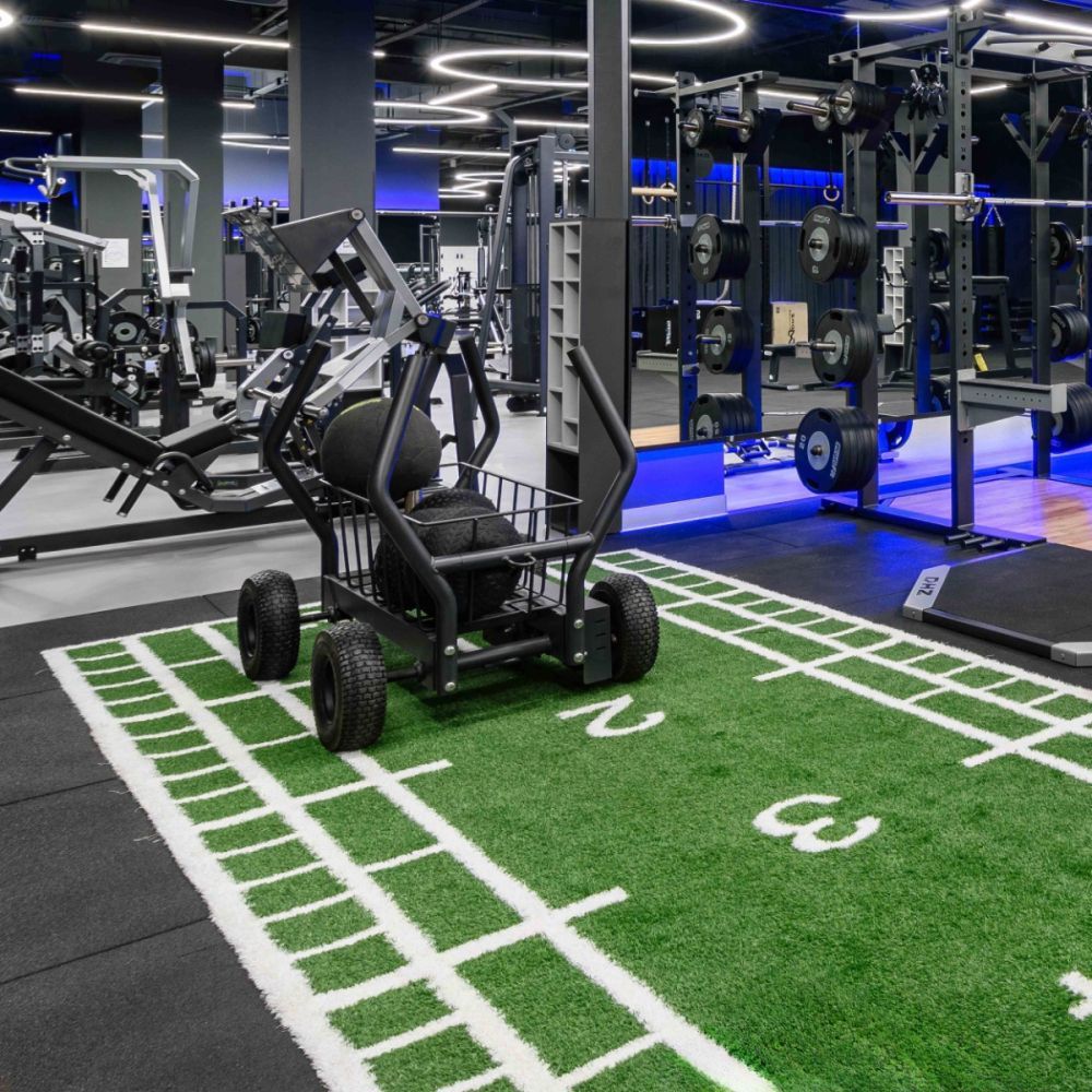 Сани-тележка для функционального тренинга ТАНГЕН