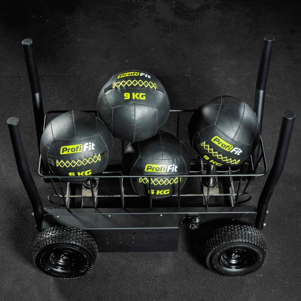 Сани-тележка для функционального тренинга ТАНГЕН