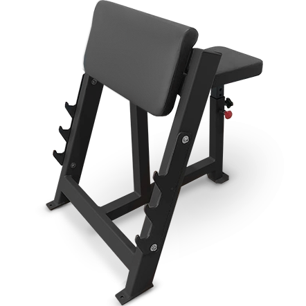 Фото Скамья Скотта BRONZE GYM PARTNER AL-303