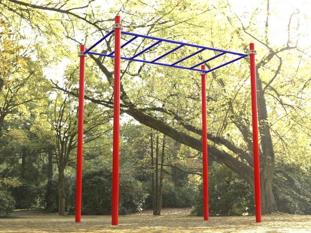 Фотографии Рукоход одиночный для Воркаут Pioner A17296