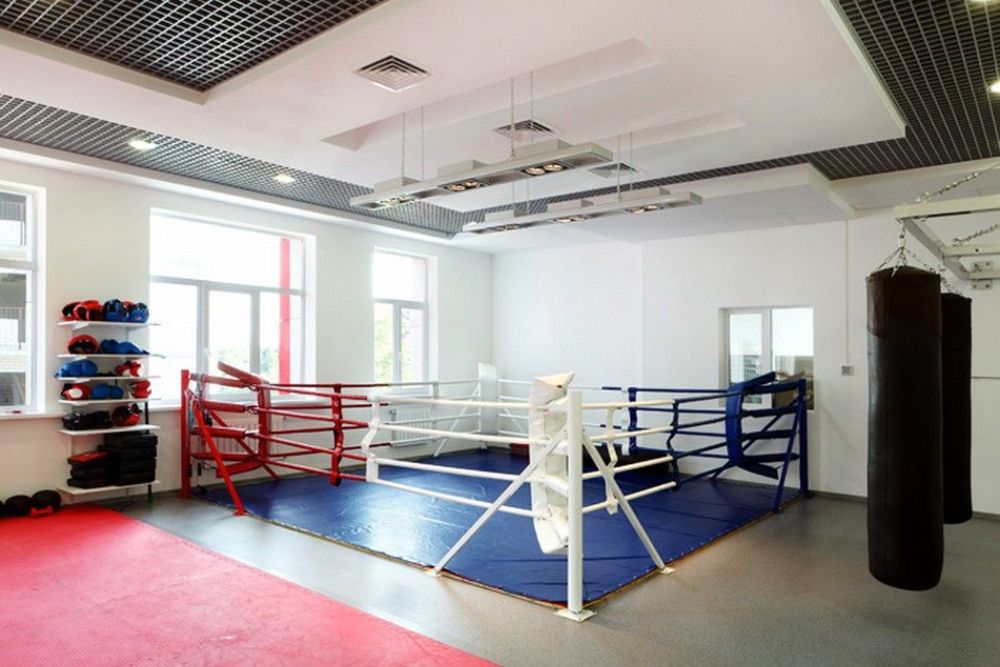 Фотографии Ринг боксёрский на упорах 5х5м, боевая зона 4х4 м, монтажная площадка 5х5 м  Pioner A12561