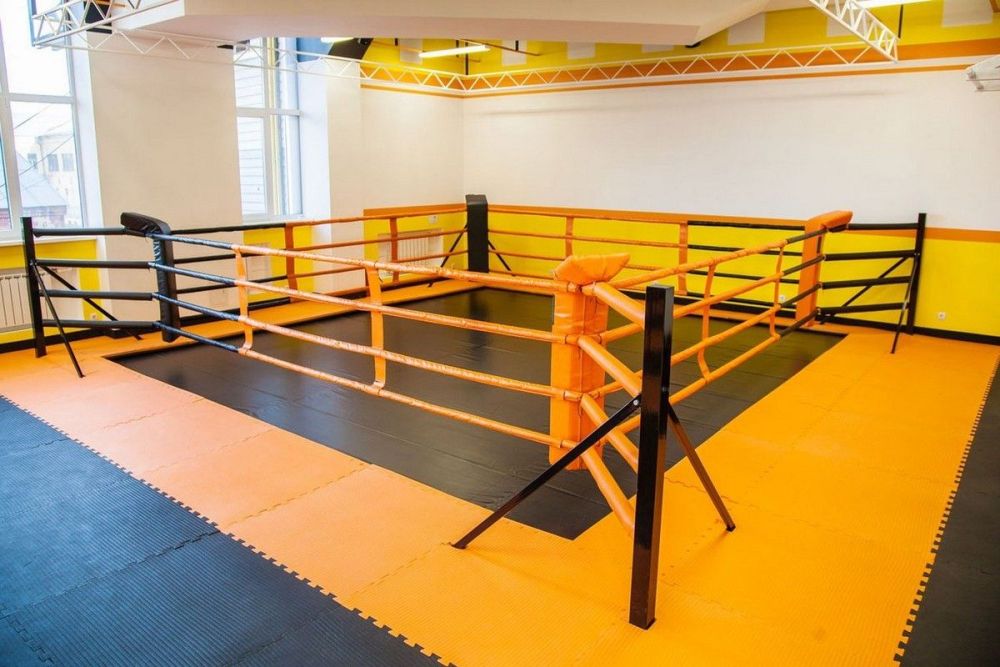 Фотографии Ринг напольный на упорах помост 7х7 м, боевая зона 6х6 м, монтажная площадка 7х7 м Pioner A15367