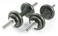 Набор металлических гантелей 2x5 кг Atlas Sport
