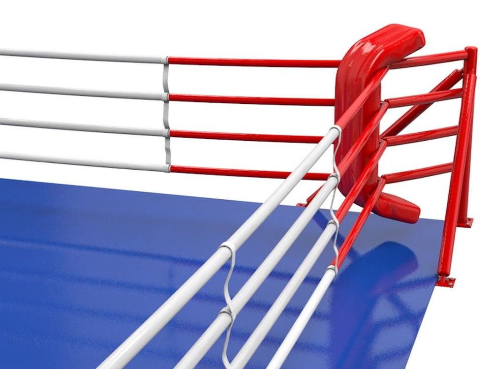 Фотографии Ринг боксерский 7х7 м на упорах, боевая зона 6х6 м  Pioner A13797