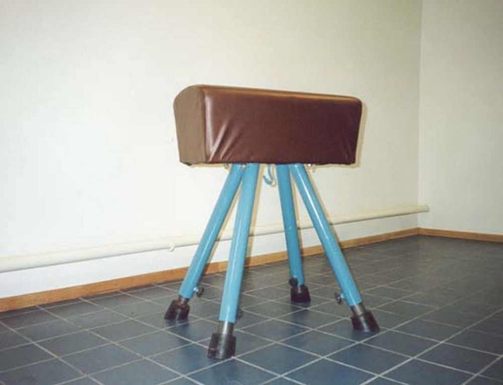 Фотографии Козел гимнастический ГО-2 Pioner A12509