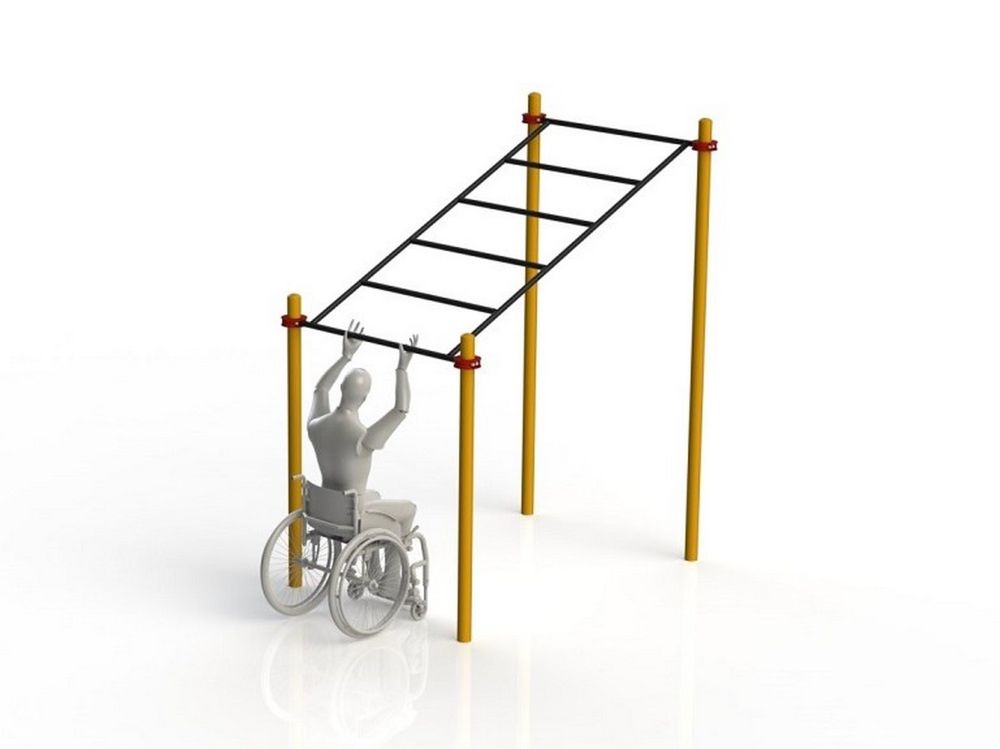 Фотографии Рукоход в подъем параворкаут Pioner A11838